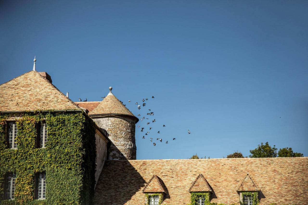 Chateau De Villiers-Le-Mahieu Exterior foto